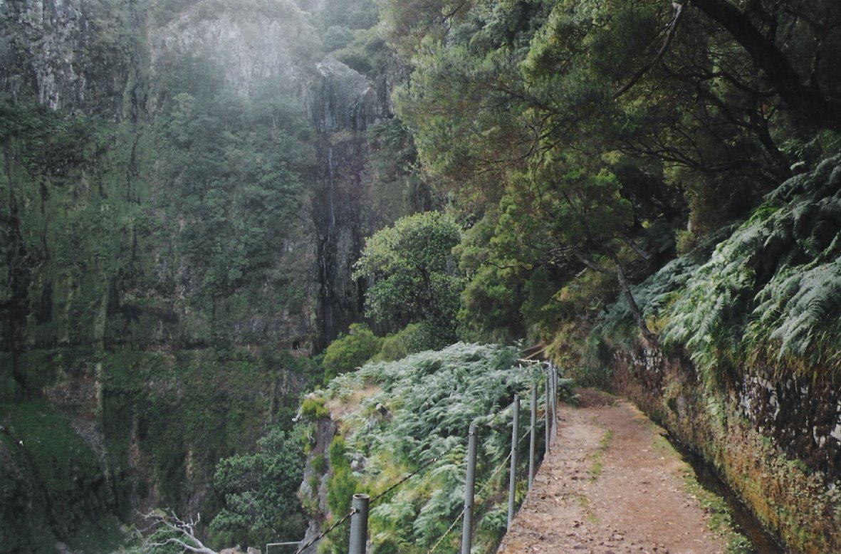 [LevadasRabacal1.jpg]