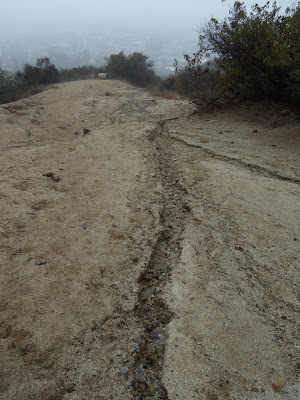 Runyon Canyon trail after rain Oct 09