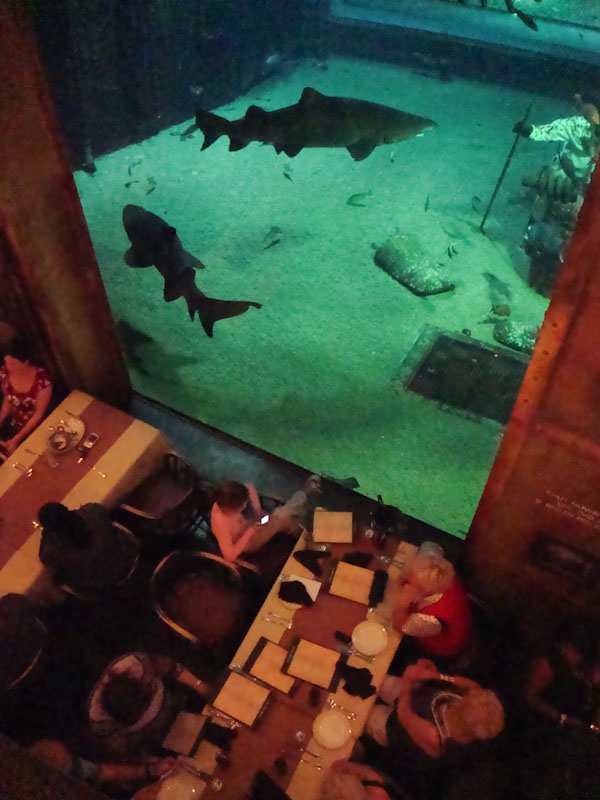 KIM'S SOUTH AFRICA PHANTOM SHIP, CARGO HOLD RESTAURANT USHAKA DURBAN