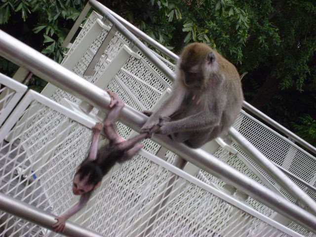 [DSC00393.JPG]