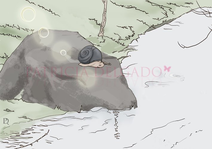 [44-7-1+caracol+toma+sol+copia+copia.jpg]