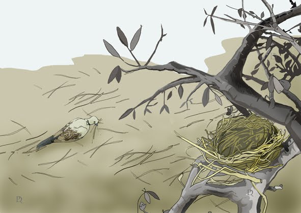 [a+73-7-1coge+palitos.jpg]