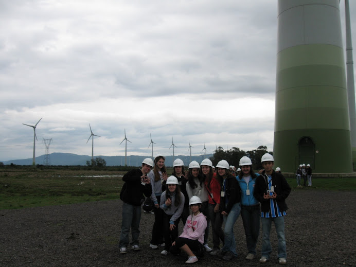 My Class At The Windmills