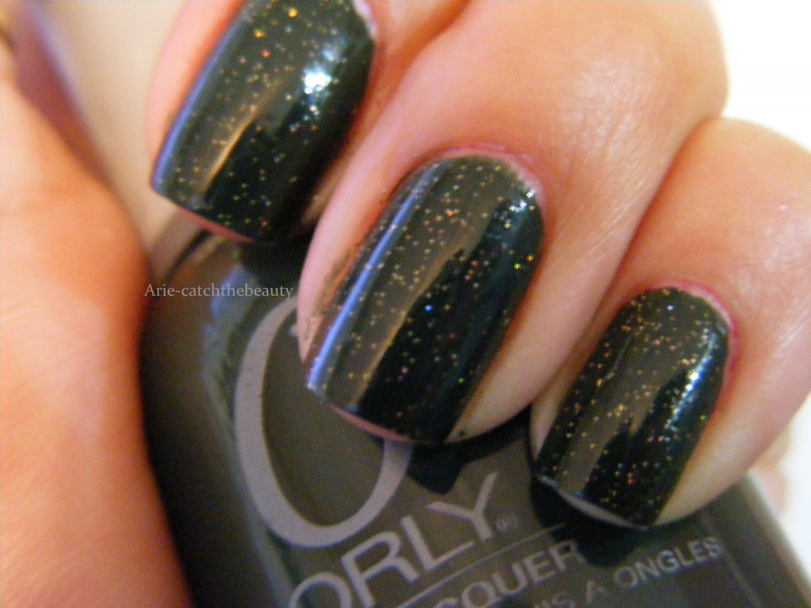 [midjanuary10+046.JPG]