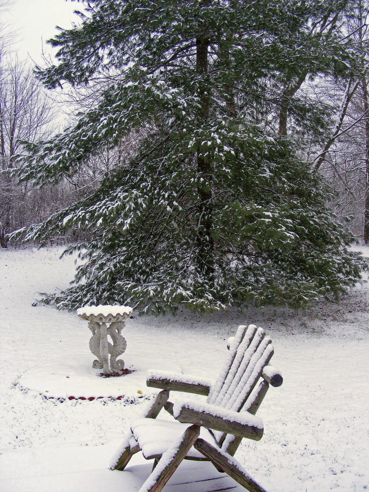 [Mid+December09+085.JPG]