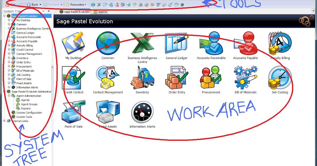 Pastel Evolution Accounting Features