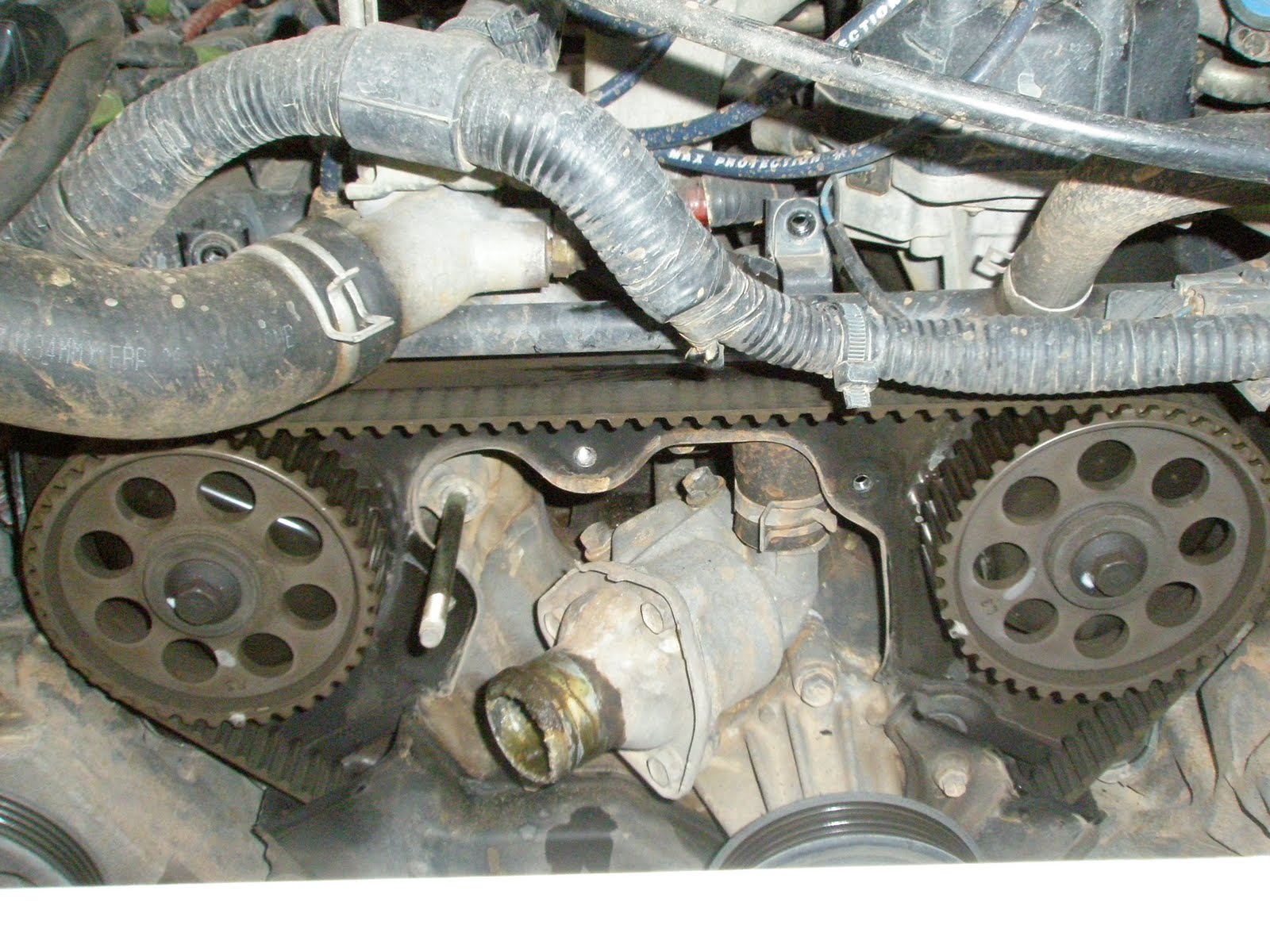 [P2240009.JPG]