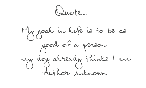 [dogquote2.png]