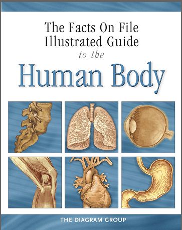 diagrams of human body. to the Human Body offers