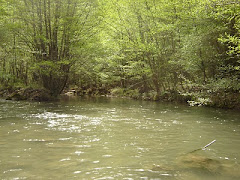 RIO LLOBREGAT.