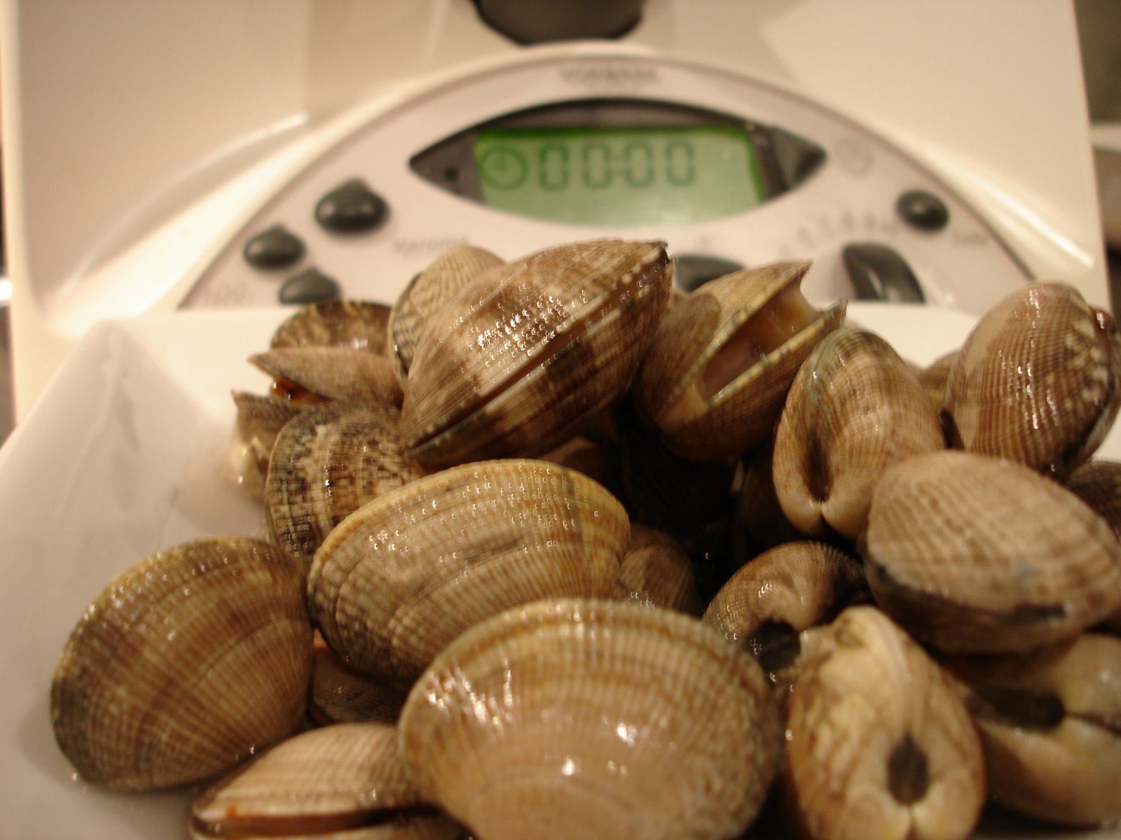 [DSC08466.JPG]