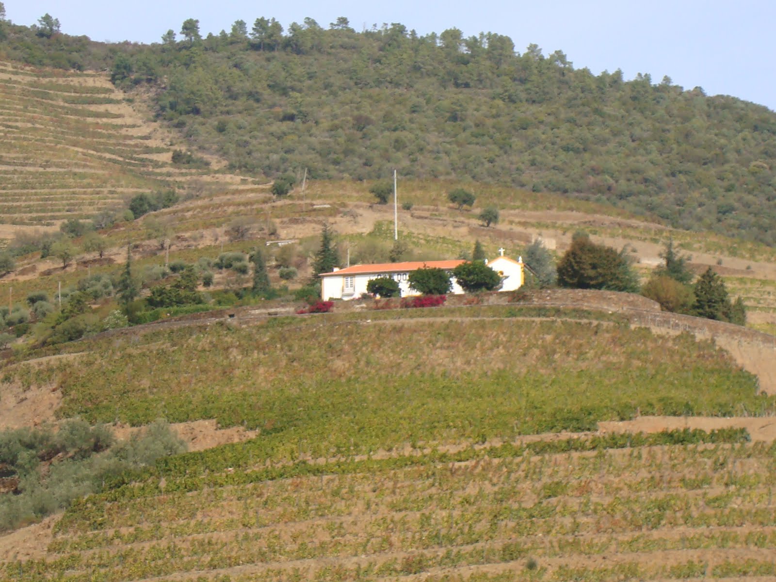 [Douro+043.JPG]