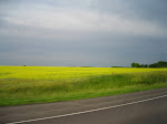 Driving through Iowa