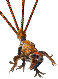 [Epidexipteryx.htm]
