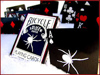 Bicycle Spider