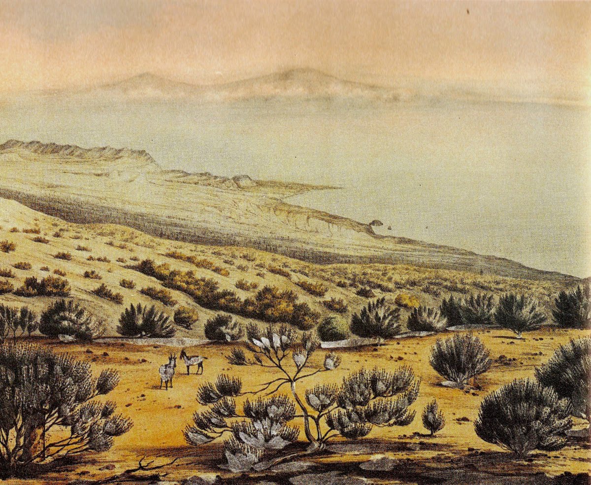 [100123-HPique-Williams-LaderadelTeide-S.jpg]