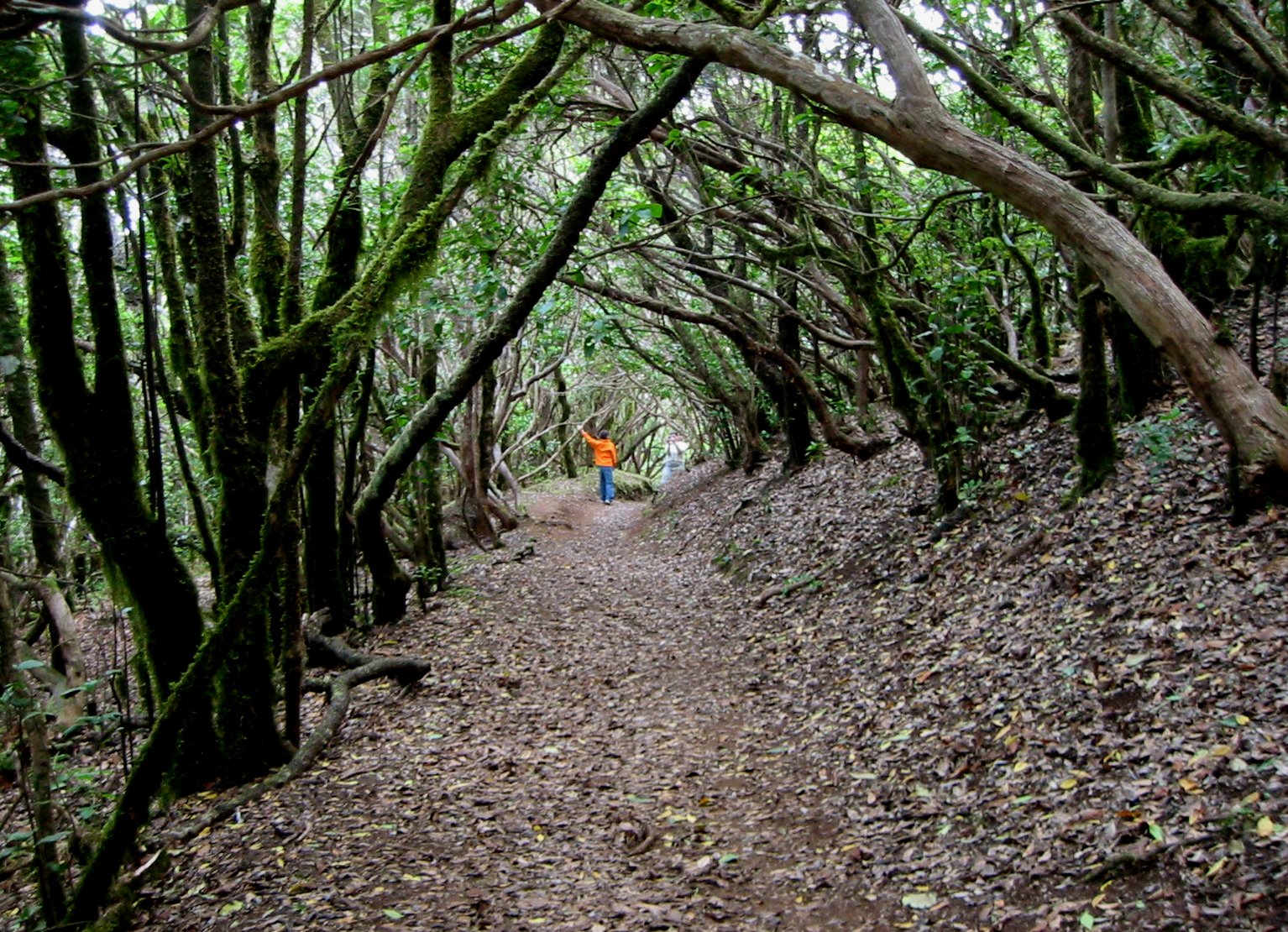 [0608-Anaga-MatapardaB.jpg]