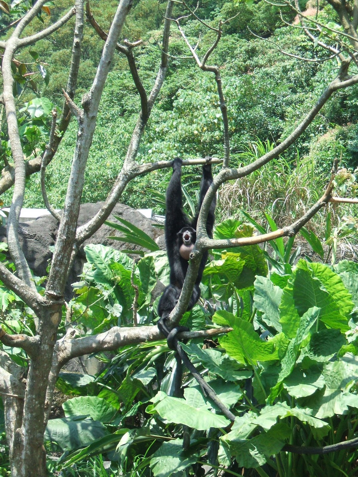 [DSCF1553.JPG]