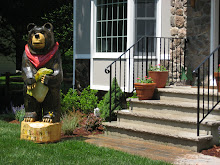 Black bears in New Jersey...