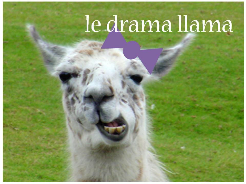 drama lama drama lama