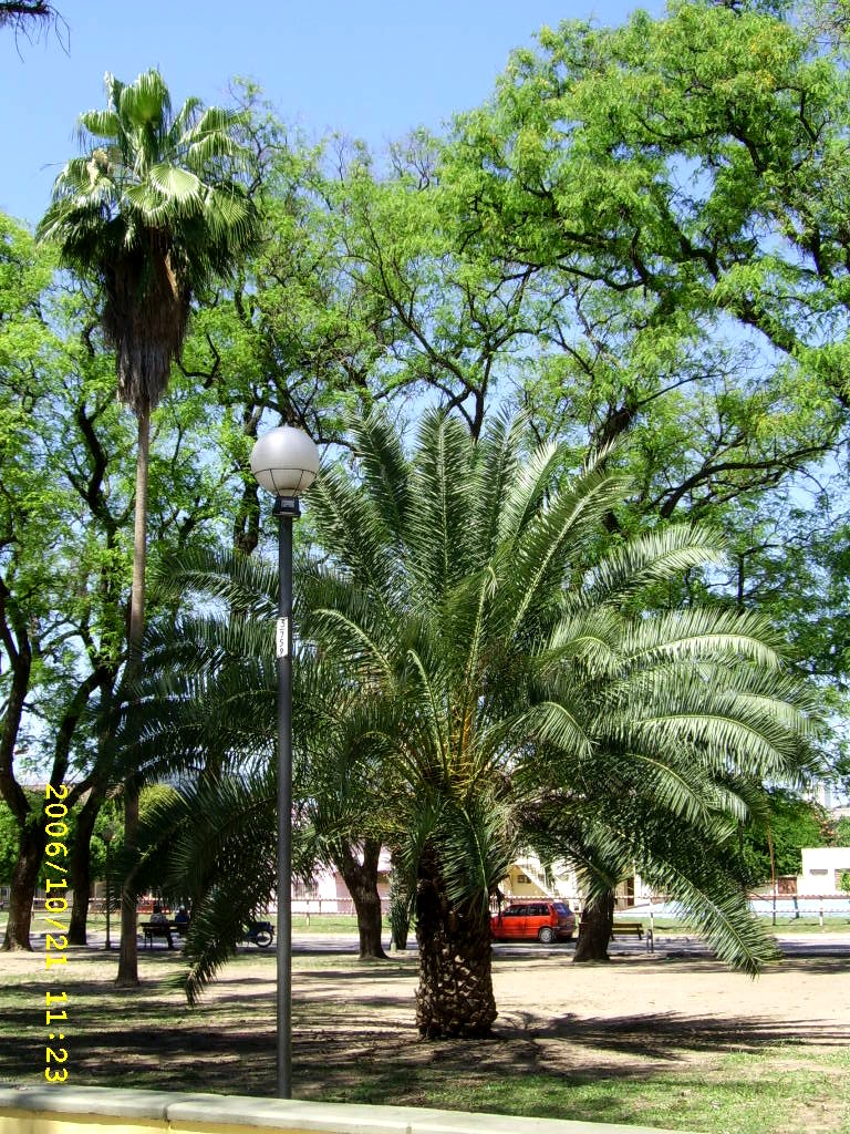 [Ssa40370.jpg]
