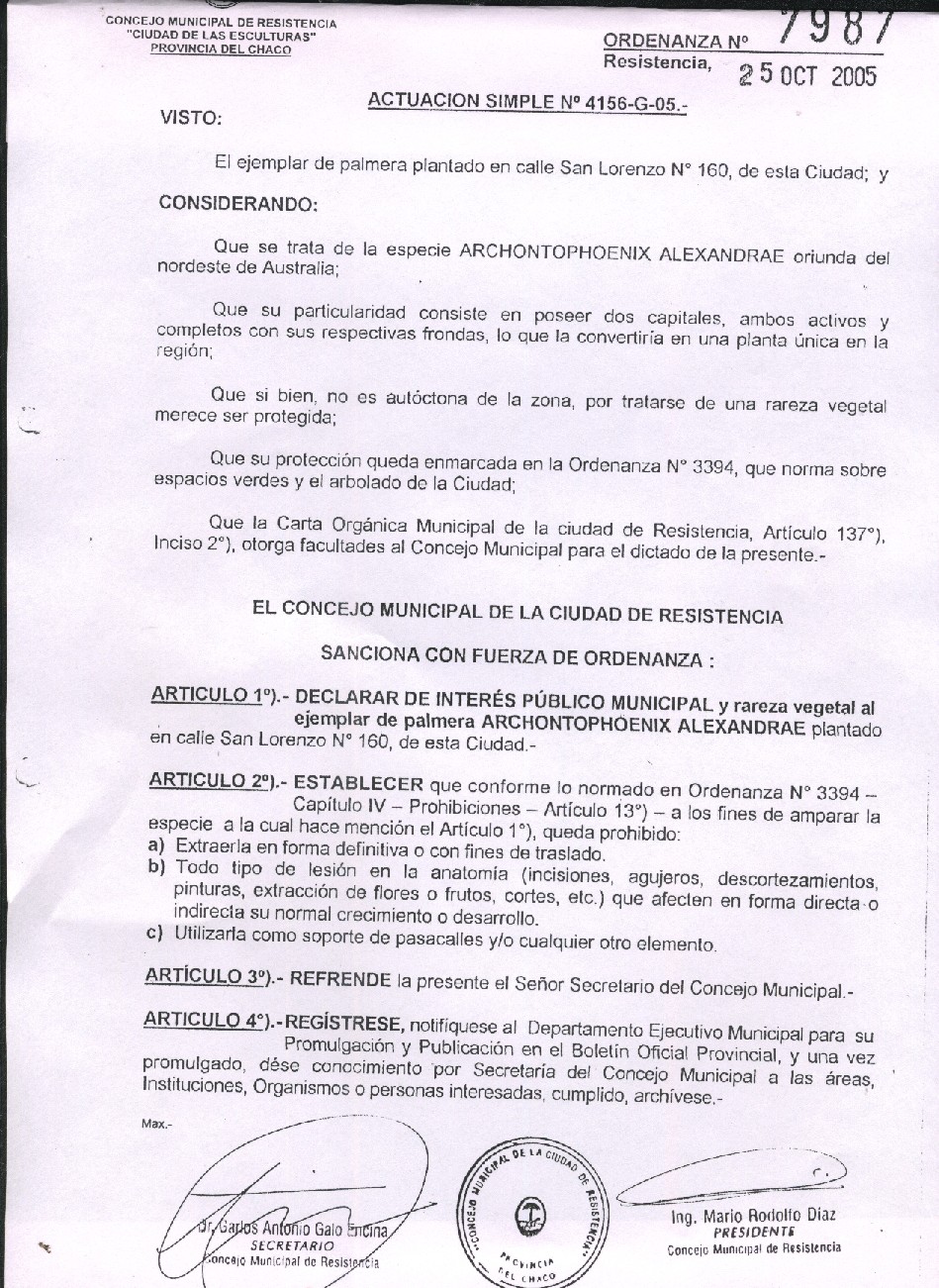 [protegiendo+a+la+palmera1.jpg]