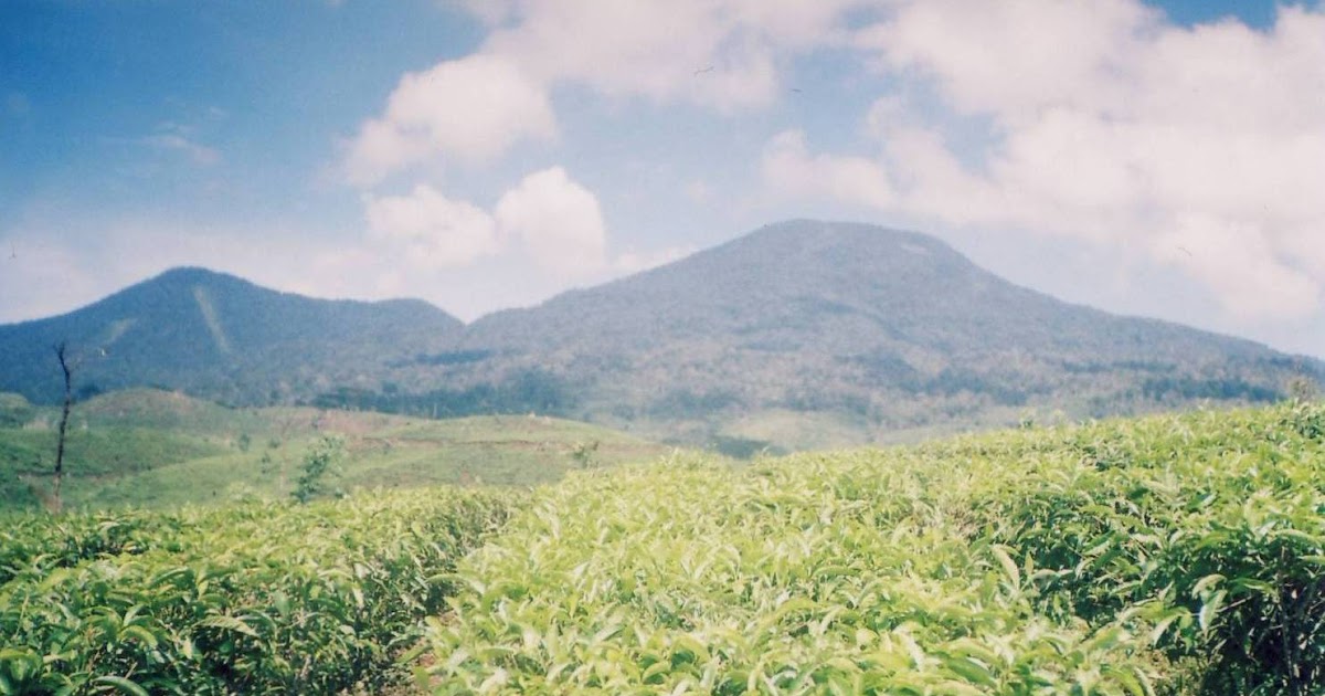 12 Tempat Wisata di Situbondo dan Bondowoso yang Wajib Dikunjungi