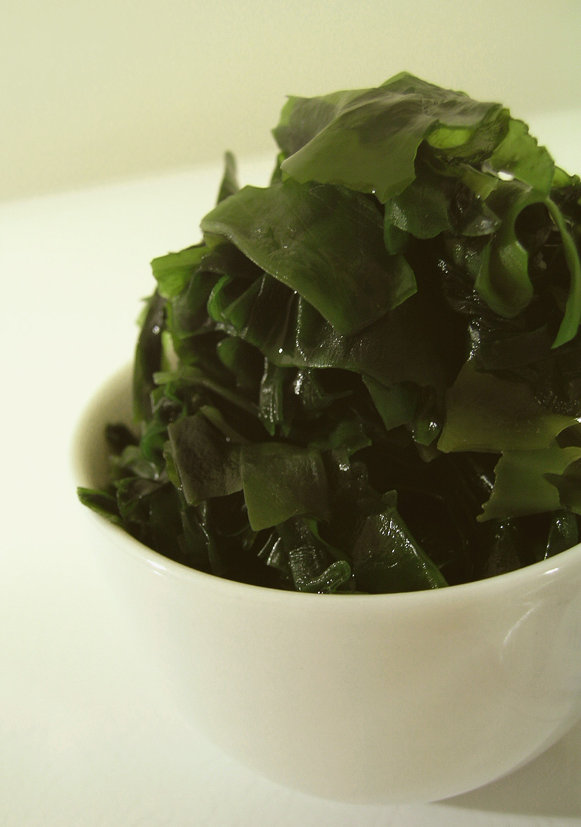 CEREBRAL BOINKFEST You say tea mold, I say kelp tea