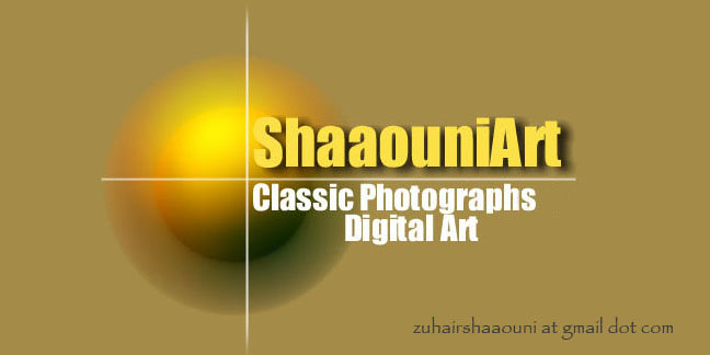 Shaaouni Art