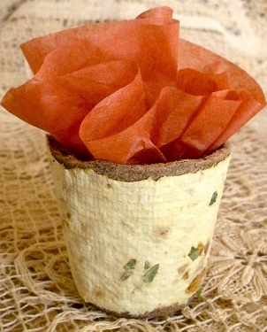 planter with orange tissue paper