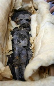 [Toutankhamon_foetus]
