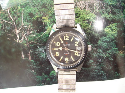 helbros diver watch