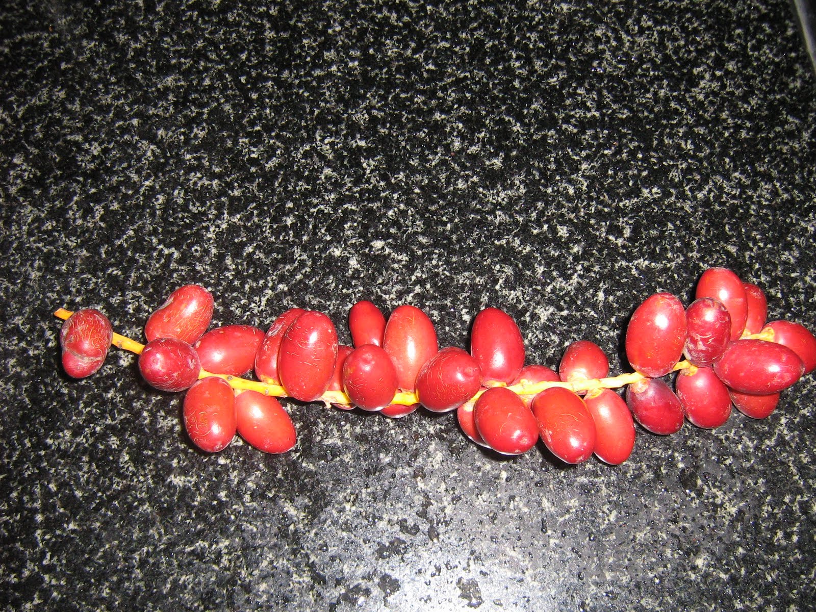 magic moments: Fruits