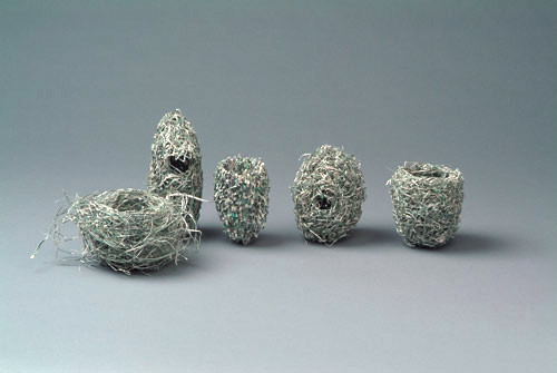 Fiona Hall