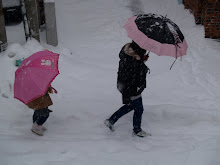 Snow storm in Korea