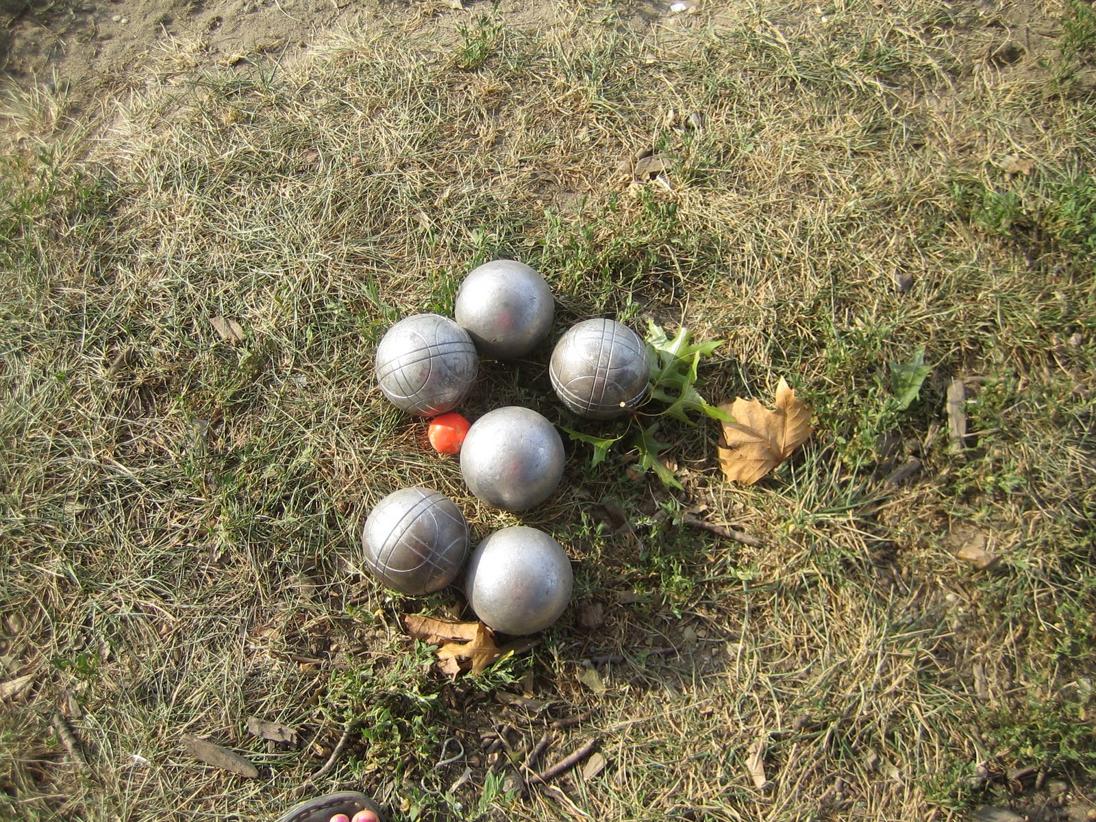 [IMG_0566.JPG]
