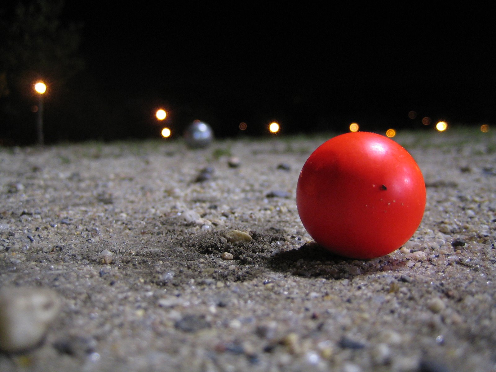 [IMG_1040.JPG]