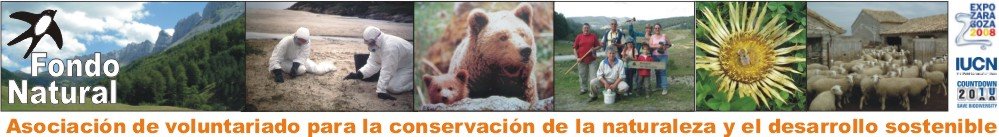 Bosque de Gamueta