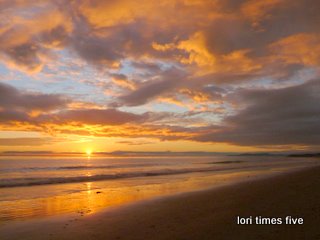 [Linden+Sunset-1.JPG]