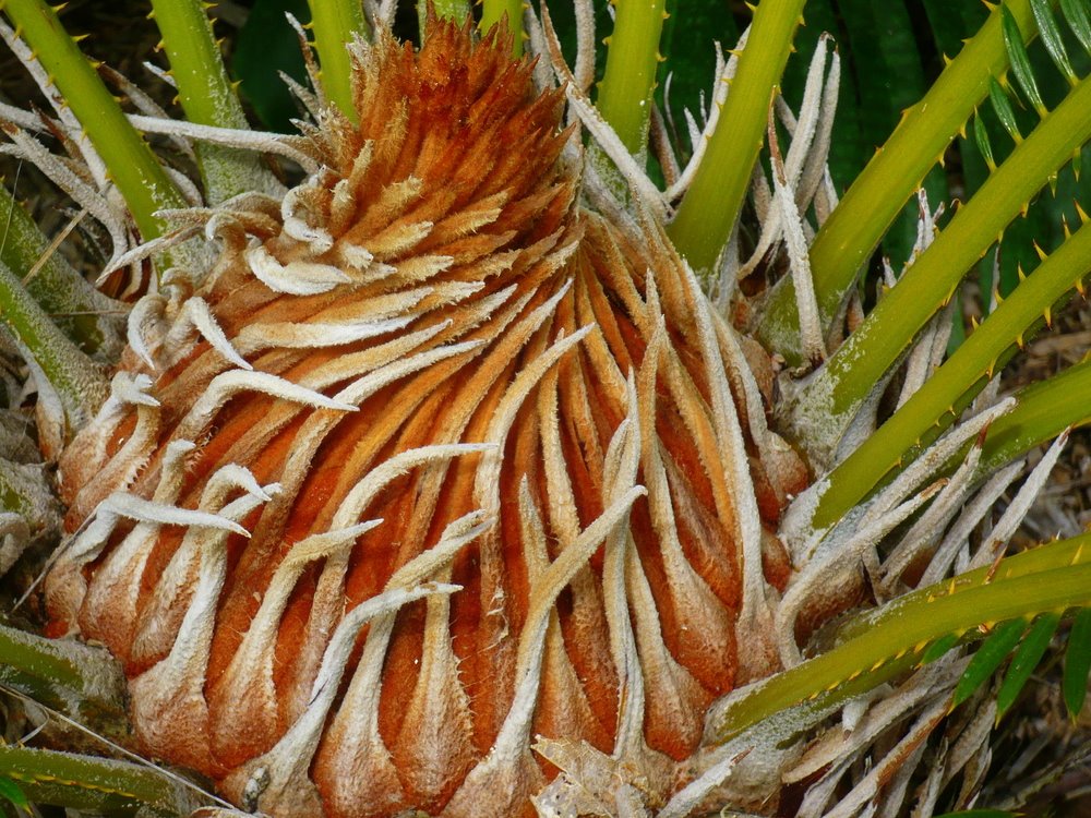 [L1020739.JPG]