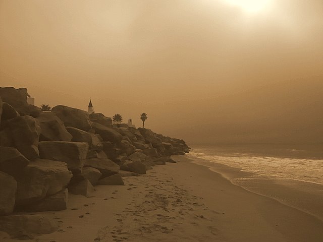 [L1030794-1.JPG]