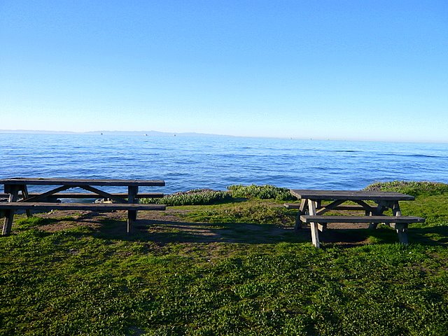 [L1030835-1.JPG]