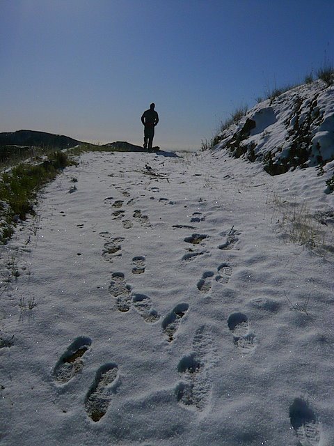 [L1040236-1.JPG]