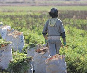 trabajadores excluídos