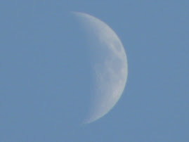 Luna Primaveral