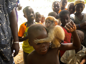 Le petit singe apprivoisé