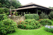stone wall garden details