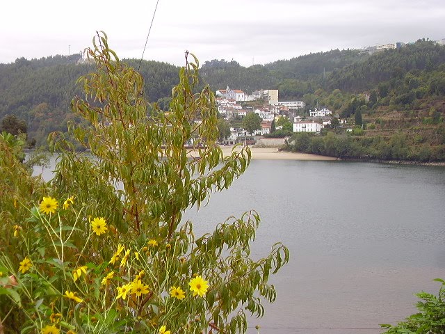 [5+PA050020.JPG]