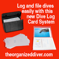 The Organized Diver