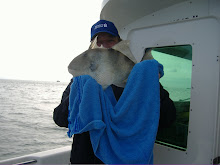 My uncles triggerfish, caught whilst fishing for bream.